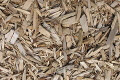 biomass boilers Trefasser
