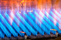 Trefasser gas fired boilers